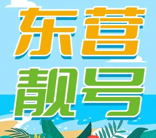 东营手机靓号和吉祥号码号段汇总